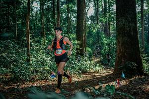 BIB: 
                            <button type="button" onclick="openModal(26133075)" class="btn btn-primary btn-sm float-right btn-popup" data-toggle="modal" data-target=".modal-high-quality">
                        <i class="fas fa-shopping-cart"></i> Add to Cart
                    </button>
                                            <button type="button" onclick="isThisMe(26133075, true)" class="btn btn-success btn-sm float-right btn-popup btn-isme hidden" data-toggle="tooltip" data-placement="bottom" title="นี่คือรูปของคุณใช่ไหม คลิกที่นี่เพื่อเอาเข้าอัลบั้ม">
                        <i class="fas fa-plus"></i> Add to album
                    </button>
                    <button type="button" onclick="isThisMe(26133075, false)" class="btn btn-warning btn-sm float-right btn-popup btn-isnotme hidden">
                        <i class="fas fa-ban"></i> Remove from album
                    </button>